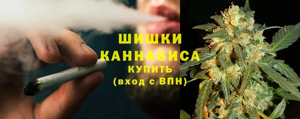 a pvp Бородино