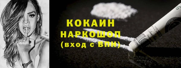 a pvp Бородино