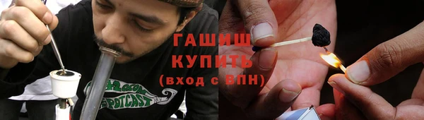 a pvp Бородино