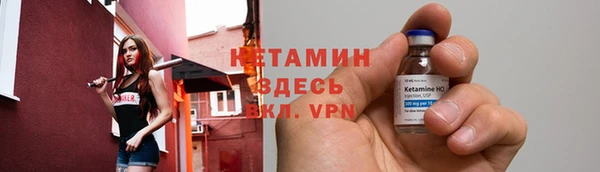 a pvp Бородино