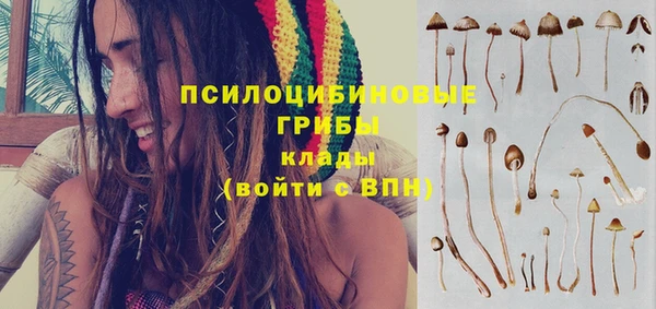 шишки Бугульма