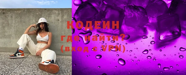 a pvp Бородино