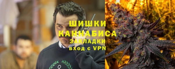 a pvp Бородино