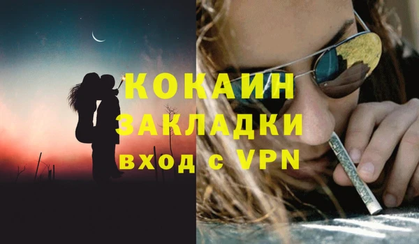 a pvp Бородино