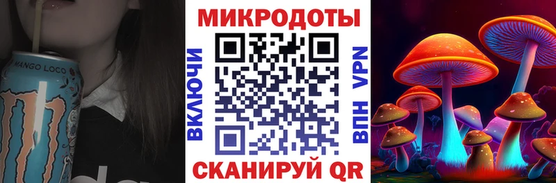 Псилоцибиновые грибы Psilocybe  Купить закладки  Кемь 